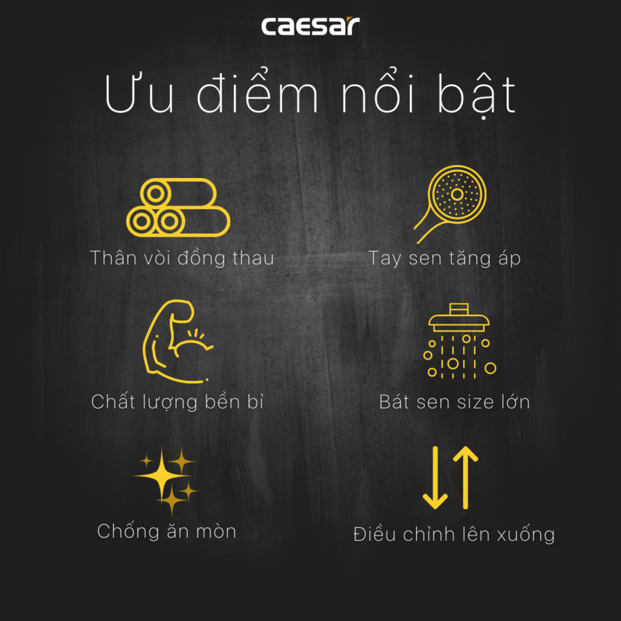 Bộ sen cây tắm đứng nóng lạnh Caesar BS124+S843C