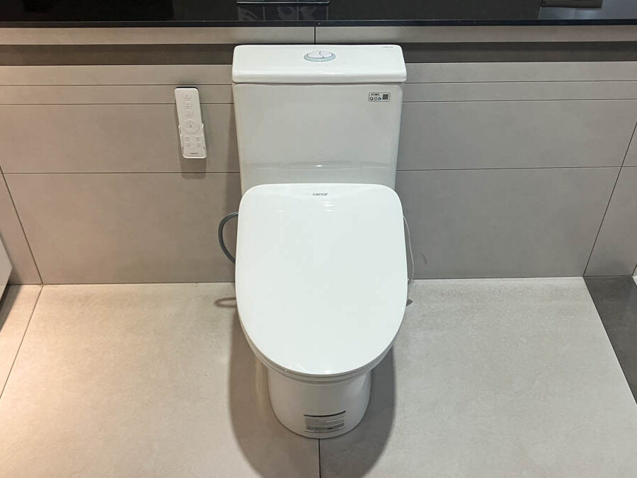 Bồn cầu 1 khối nắp điện tử Caesar C1391F+TAF710H