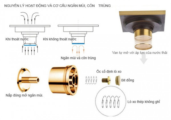 Phễu thoát sàn bằng đồng 10x10cm Kanly GCP01B
