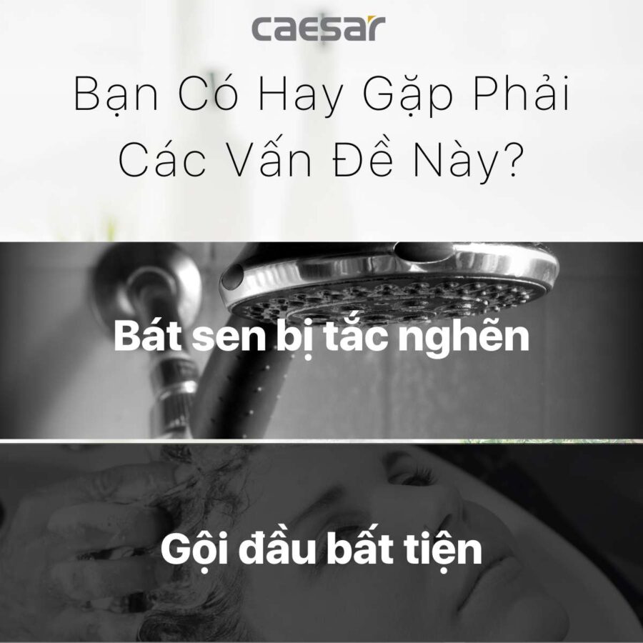 Tay sen tắm 2 chế độ Caesar SH221