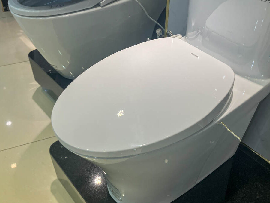 Nắp bồn cầu rửa cơ Caesar TAF060